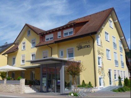 Фото: Zur Blume